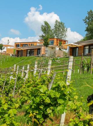 Resort in der Steiermark: Luxus, Natur und Entspannung Symbolfoto