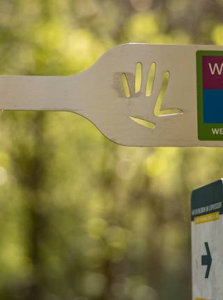 Wein-Erlebnis-Weg Bad Loipersdorf Symbolfoto