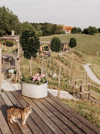Wanderhotel in der Nähe von Loipersdorf Symbolfoto