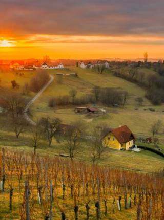 Weinwandern im Thermen- & Vulkanland: Die schönsten Routen für Genießer Symbolfoto