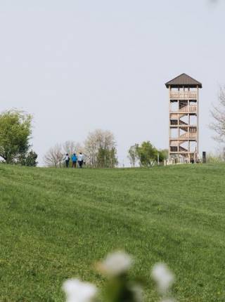 Wanderurlaub ohne Kinder in Österreich Symbolfoto