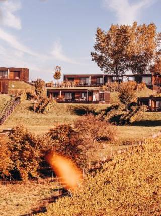 Voll im Trend: Im Herbst heiraten Symbolfoto