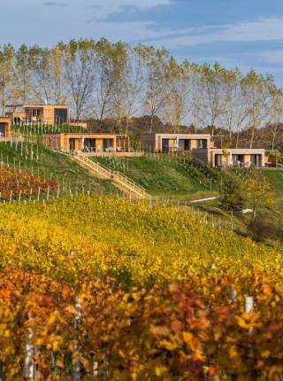 Die Vorteile hat eine Herbsthochzeit Symbolfoto