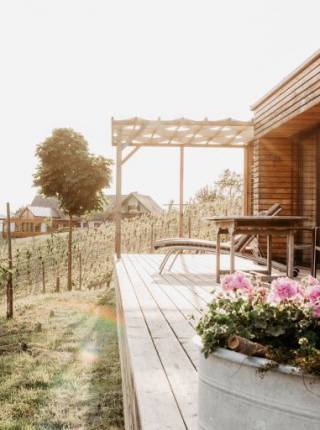 Ferienhaus in den Weinbergen Symbolfoto