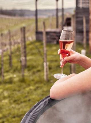 Adults Only Chalet in der Steiermark Symbolfoto