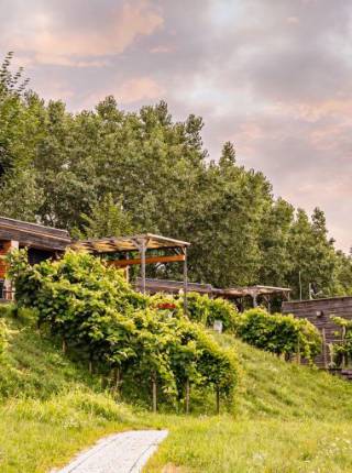 Urlaub in der Natur in der Steiermark Symbolfoto