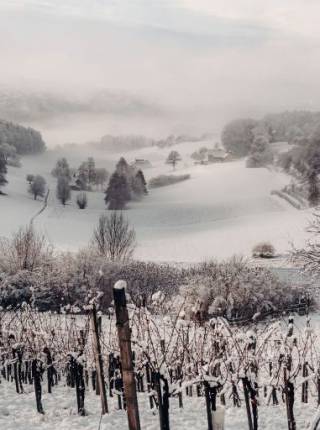 Winterurlaub in Österreich abseits der Pisten Symbolfoto