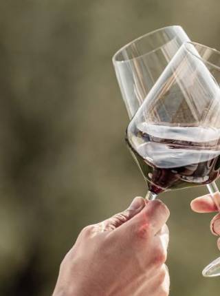 Adults Only Urlaub mit Weingenuss – Entspannen inmitten der Weinberge Symbolfoto