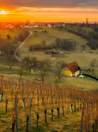 Winterwandern & Wellness: Warum das Thermen- & Vulkanland das perfekte Duo ist Symbolfoto