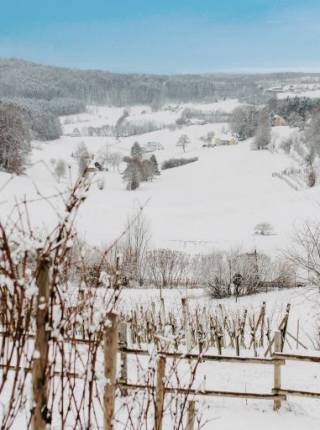 Winterwandern in der Steiermark – beliebte Regionen und Routen Symbolfoto