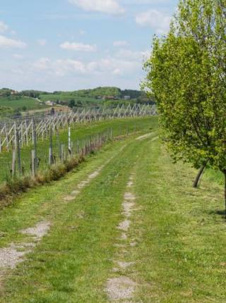 Wanderurlaub zum Jahrestag – Naturgenuss und Zweisamkeit in der Steiermark Symbolfoto