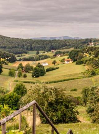 Natururlaub in der Steiermark Symbolfoto