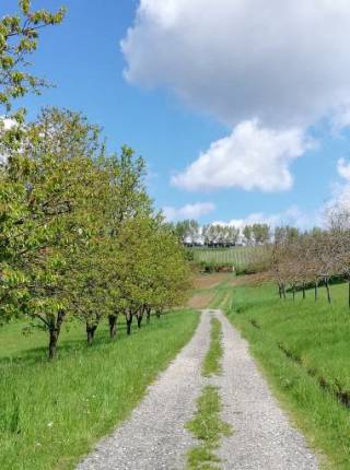 Hotel zum Wandern in der Steiermark  Symbolfoto
