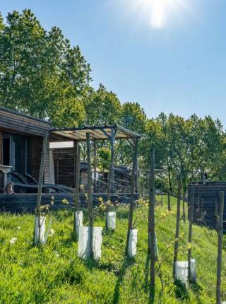 Wanderhotel im Vulkanland - das ganze Jahr unterwegs in der Steiermark Symbolfoto