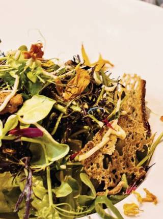 Vegetarisch essen in der Steiermark Symbolfoto