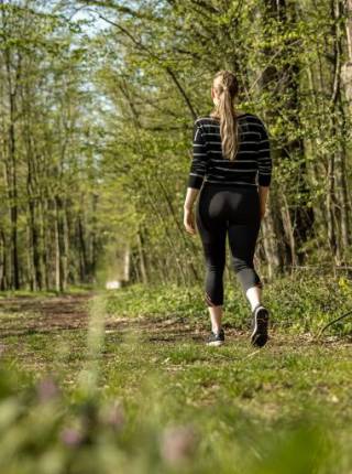 Wandern für Einsteiger - Tipps und Touren Symbolfoto