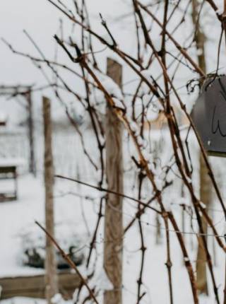 Winterurlaub ohne Kinder Symbolfoto