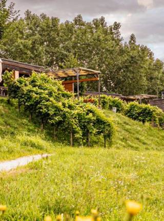 Urlaub ohne Stress in der Steiermark Symbolfoto