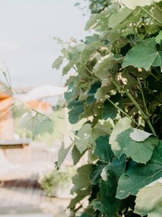 Warum immer mehr Menschen bewusst Urlaub ohne Aktivitäten buchen Symbolfoto