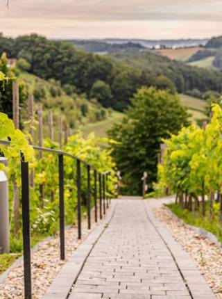 Wenn Reisen sonst anstrengend ist: neue Wege der Erholung Symbolfoto