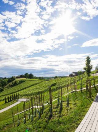 9 Kriterien, an denen Sie echte Rückzugsorte mit Privatsphäre erkennen Symbolfoto