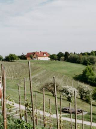 Babymoon in Österreich: Wann ist die beste Reisezeit je Trimester? Symbolfoto