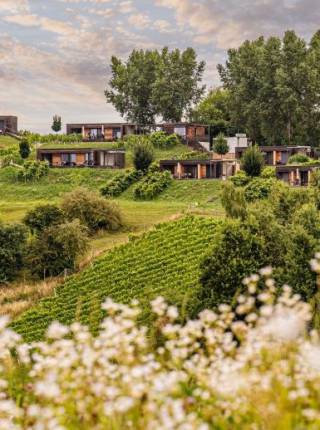 Günstige Flüge Hamburg – Graz & Urlaub in Österreich im Weingarten-Resort Symbolfoto