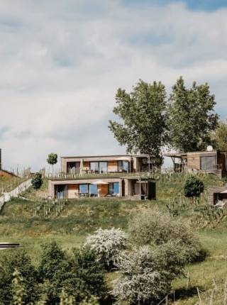 Außergewöhnlich übernachten in der Steiermark im Weinberg Symbolfoto