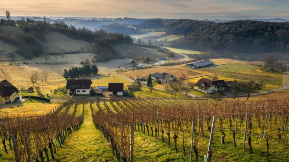 Nachhaltiges Winterwandern – Natur erleben im Vulkanland