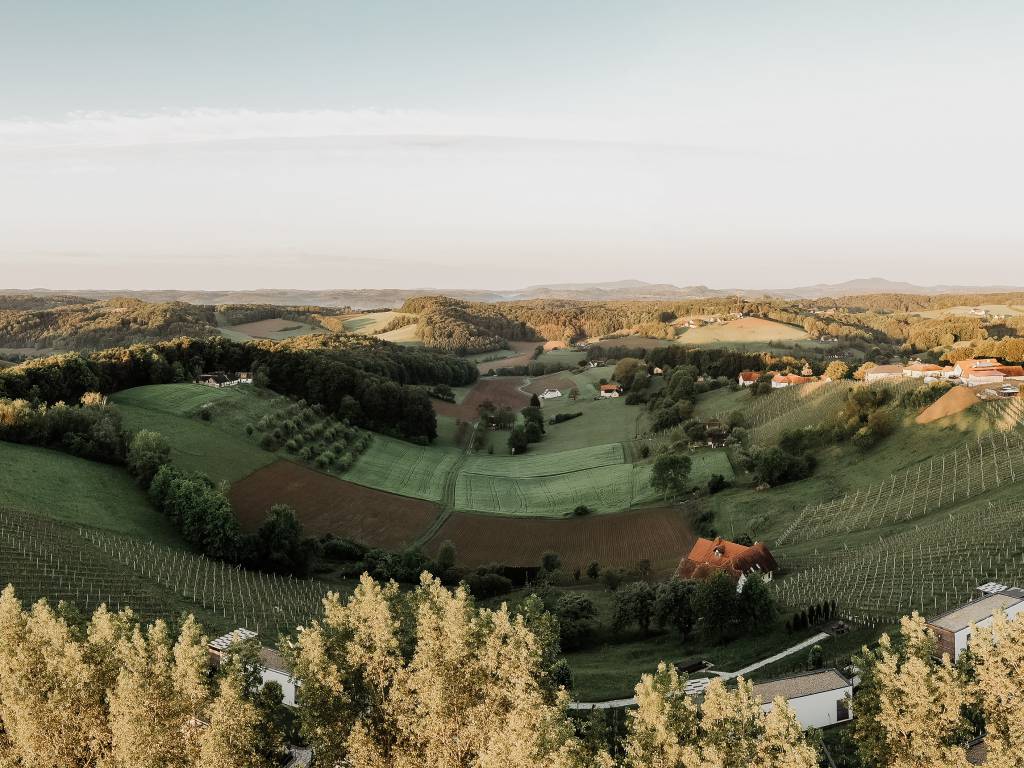 Ausblick vom Weingarten-Resort Unterlamm Loipersdorf in der Steiermark
