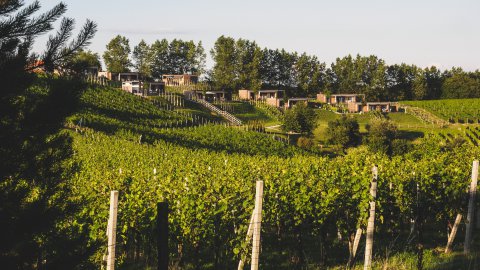 Ferienhaus in ruhiger Lage in der Steiermark, Bild 1/1