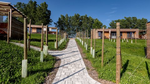 Appartement in der Nähe der Therme Loipersdorf, Bild 1/1