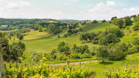 Ferienhaus in der Natur, Bild 1/1