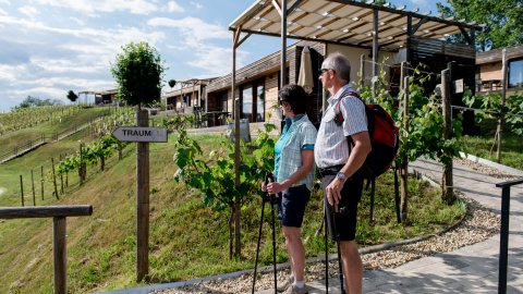 Wandern und Wellness in der Steiermark, Bild 1/1