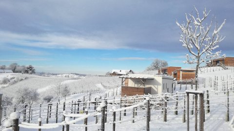 Steiermark Urlaub an Weihnachten, Bild 1/1