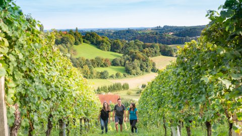 Loipersdorf Urlaub im Sommer, Bild 1/1