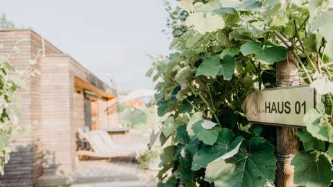 Nachhaltige Unterkunft in der Steiermark, Bild 1/1