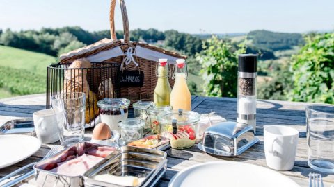 Nachhaltigkeit trifft auf Eleganz: Stilvolles Ambiente im Weingarten-Resort, Bild 1/1