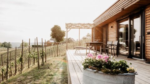 Ferienhaus in den Weinbergen, Bild 1/1