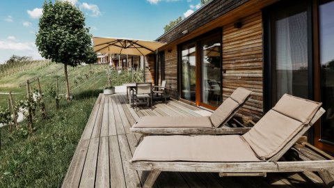 Ferienhaus im Weinberg in der Steiermark, Bild 1/1