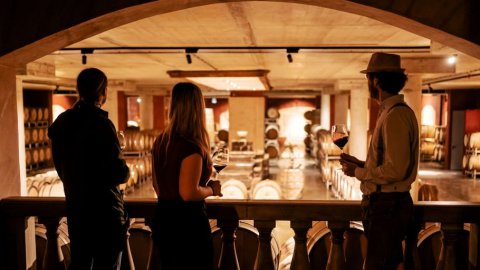 Weinverkostung im Urlaub, Bild 1/1