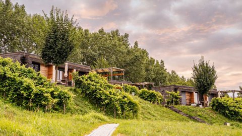 Urlaub in der Natur in der Steiermark, Bild 1/1