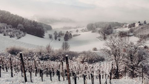 Winterurlaub in Österreich abseits der Pisten, Bild 1/1