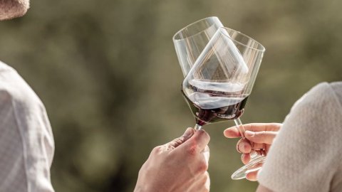 Adults Only Urlaub mit Weingenuss – Entspannen inmitten der Weinberge, Bild 1/1