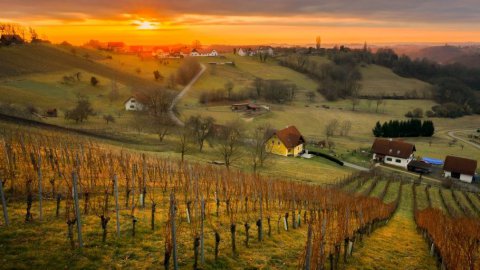 Winterwandern & Wellness: Warum das Thermen- & Vulkanland das perfekte Duo ist, Bild 1/1