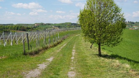 Wanderurlaub zum Jahrestag – Naturgenuss und Zweisamkeit in der Steiermark, Bild 1/1