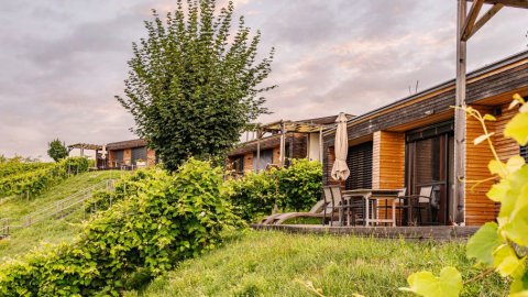 Hotel für Jahrestag in der Steiermark – Zweisamkeit, die verbindet, Bild 1/1