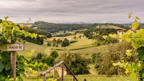 Natururlaub in der Steiermark, Bild 1/1