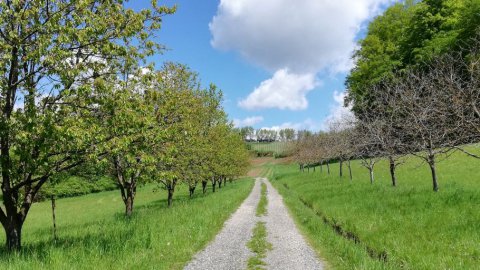 Hotel zum Wandern in der Steiermark , Bild 1/1