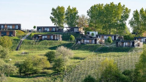 Urlaub im Grünen in der Steiermark, Bild 1/1